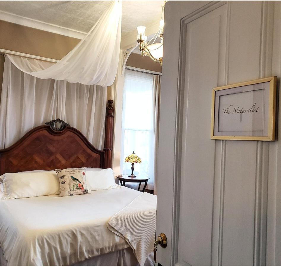 South Court Inn Luray Extérieur photo